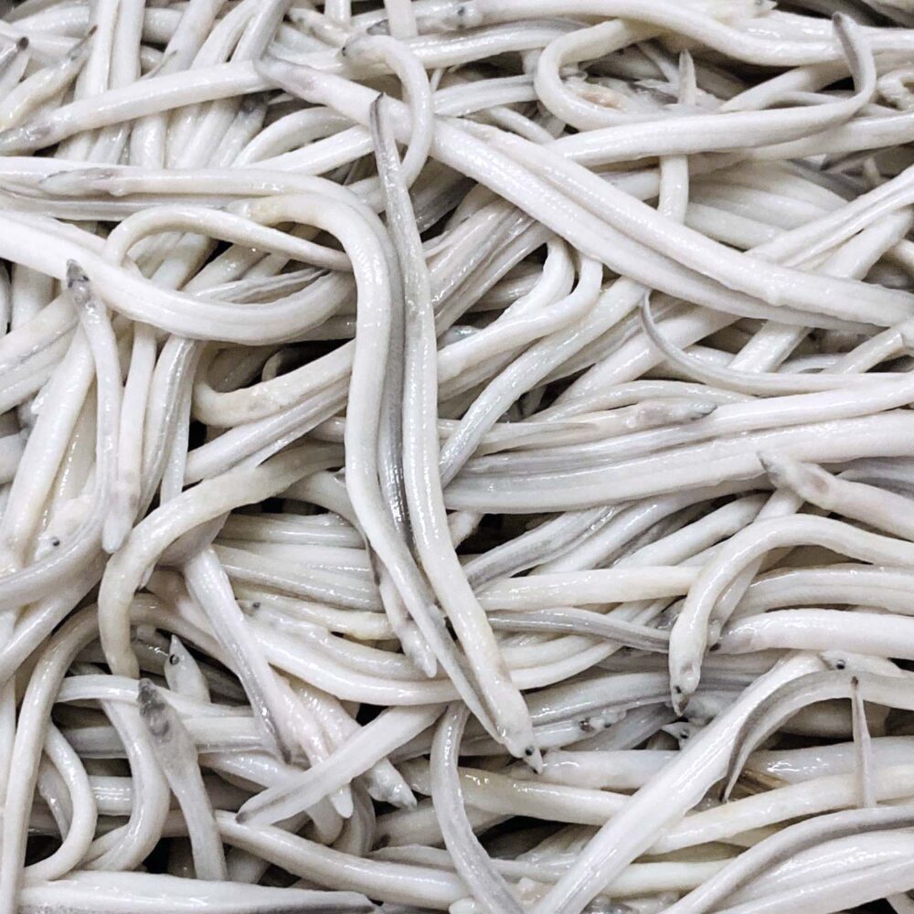 Angulas y Pescados Gutiérrez | Angula 100 gr (Finalizó la temporada)